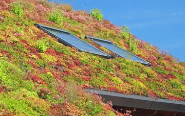 Covenham St Mary living roof systems